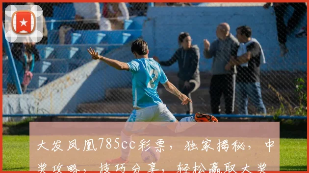 大发凤凰785cc彩票,独家揭秘,中奖攻略,技巧分享,轻松赢取大奖,不容错过