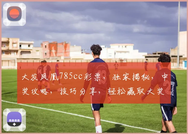 大发凤凰785cc彩票，独家揭秘，中奖攻略，技巧分享，轻松赢取大奖，不容错过